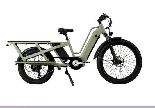 Transport-E-Bike Lifter TX 3